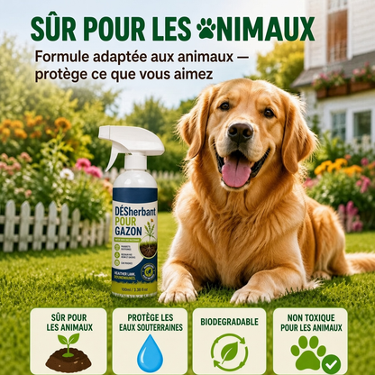 🔥 50 % DE RÉDUCTION 🌿 Désherbant – Efficace contre les mauvaises herbes & leur repousse | Jardin, allées & cour ⚡