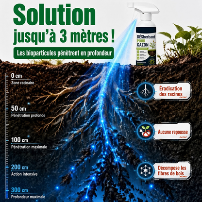 🔥 50 % DE RÉDUCTION 🌿 Désherbant – Efficace contre les mauvaises herbes & leur repousse | Jardin, allées & cour ⚡