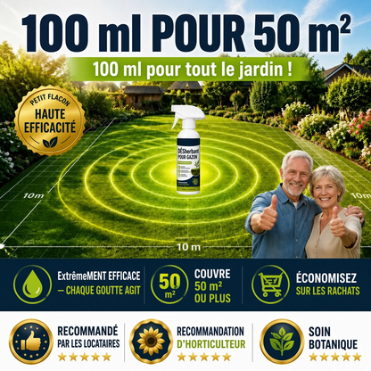 🔥 50 % DE RÉDUCTION 🌿 Désherbant – Efficace contre les mauvaises herbes & leur repousse | Jardin, allées & cour ⚡
