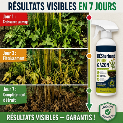 🔥 50 % DE RÉDUCTION 🌿 Désherbant – Efficace contre les mauvaises herbes & leur repousse | Jardin, allées & cour ⚡