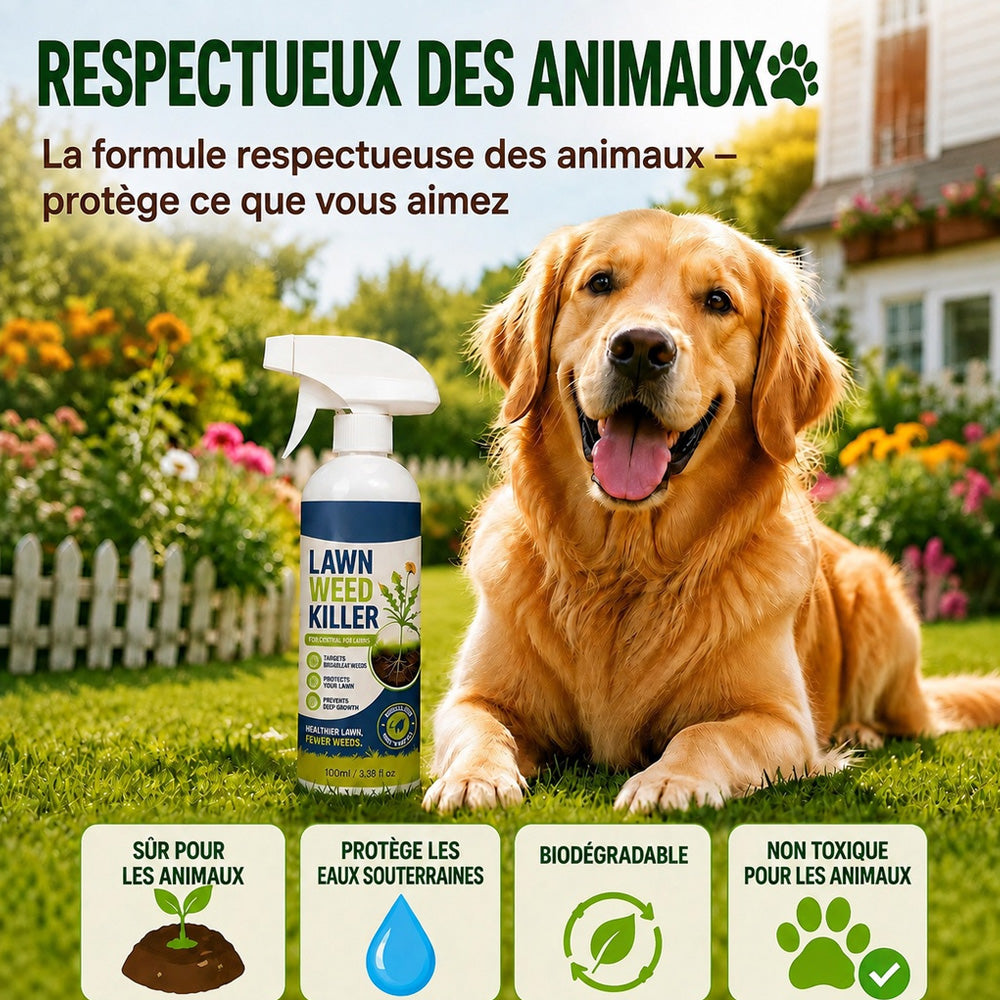 🔥⚡[Désherbage facile et sans stress au jardin] Désherbant pour usage domestique