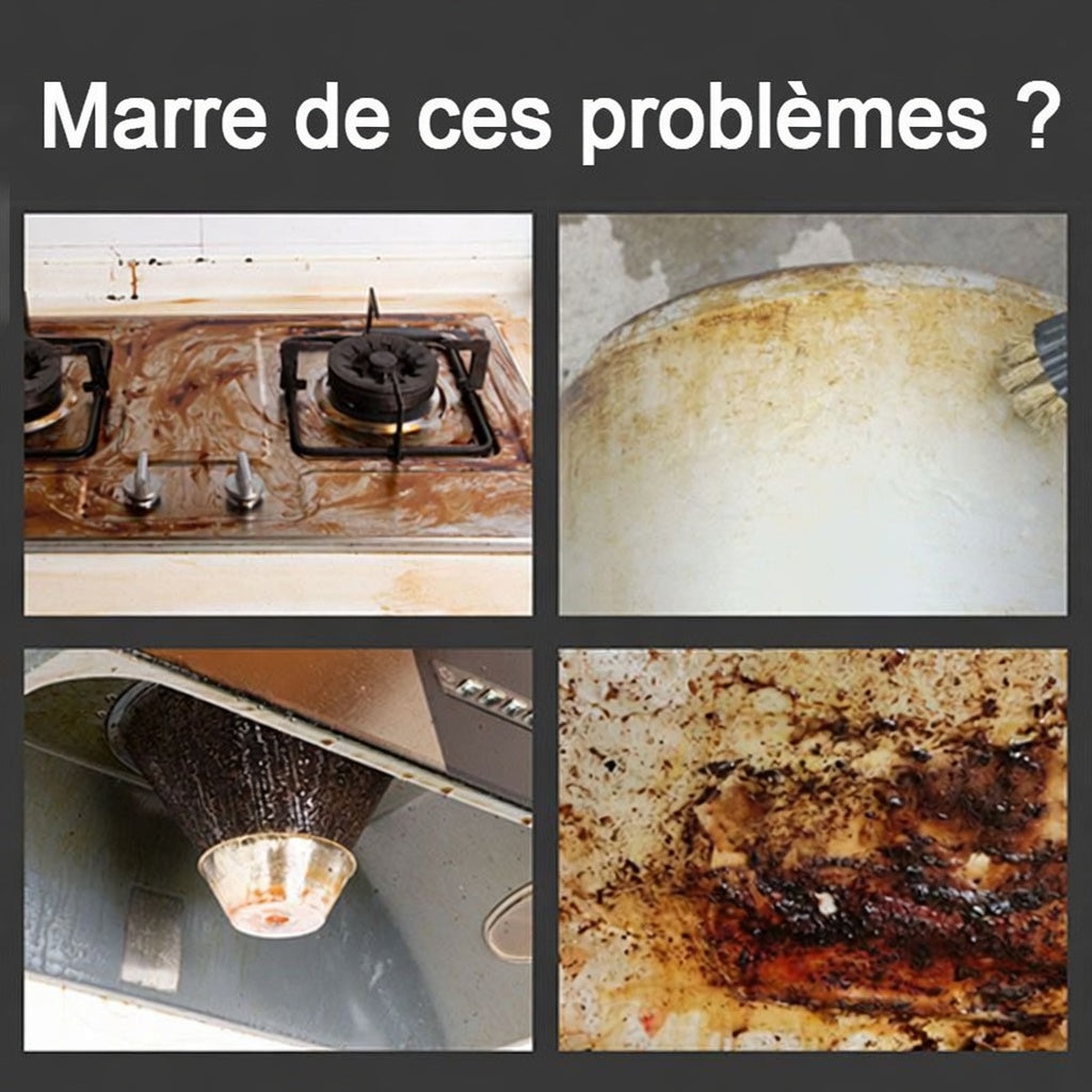 Nettoyeur vapeur portatif à haute température sous pression 2500W💦