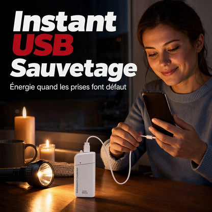 Chargeur d'urgence portable pour téléphone, batterie externe alimentée par piles AA avec lampe torche LED